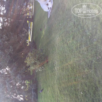 фото из отзыва ID 1468728