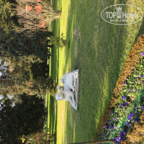 фото из отзыва ID 1468728