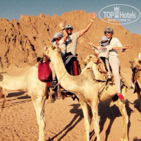 фото из отзыва ID 1468625