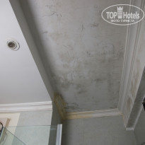 фото из отзыва ID 1468967