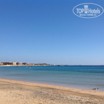 фото из отзыва ID 1468961