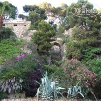 фото из отзыва ID 1468982