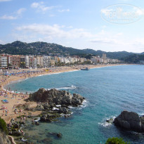 фото из отзыва ID 1468982