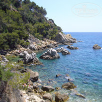 фото из отзыва ID 1468982