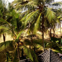 фото из отзыва ID 1469011