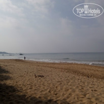 фото из отзыва ID 1469011