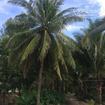 фото из отзыва ID 1469014