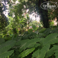 фото из отзыва ID 1469014