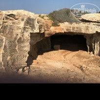 фото из отзыва ID 1469074