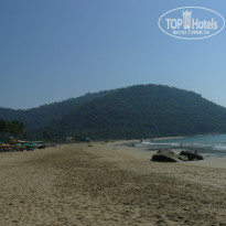 фото из отзыва ID 1468911