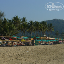 фото из отзыва ID 1468911