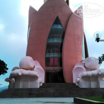 фото из отзыва ID 1469149