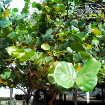 фото из отзыва ID 1469149