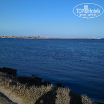 фото из отзыва ID 1469161