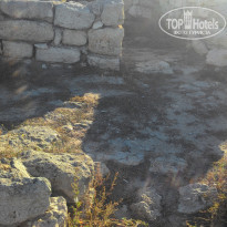 фото из отзыва ID 1469161