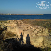 фото из отзыва ID 1469161