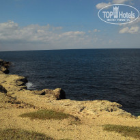 фото из отзыва ID 1469161