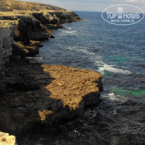 фото из отзыва ID 1469161