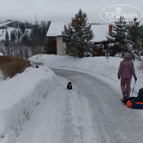 фото из отзыва ID 1469225