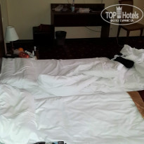 фото из отзыва ID 1469229