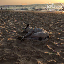 фото из отзыва ID 1469287