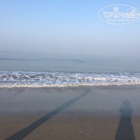 фото из отзыва ID 1469287