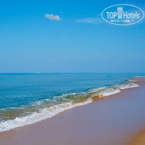 фото из отзыва ID 1469301