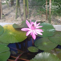 фото из отзыва ID 1469311