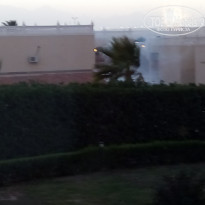 фото из отзыва ID 1469347