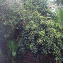 фото из отзыва ID 1469355