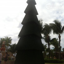 фото из отзыва ID 1469365