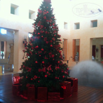 фото из отзыва ID 1469365