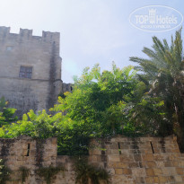 фото из отзыва ID 1469367