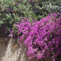 фото из отзыва ID 1469367