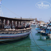 фото из отзыва ID 1469367