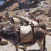 фото из отзыва ID 1469367