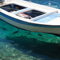 фото из отзыва ID 1469367