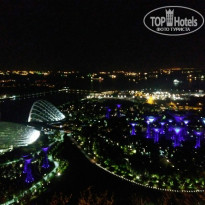 фото из отзыва ID 1469350