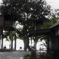 фото из отзыва ID 1469375