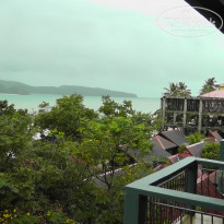 фото из отзыва ID 1469375