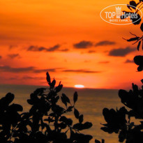 фото из отзыва ID 1469375