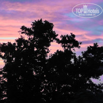 фото из отзыва ID 1469375