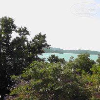 фото из отзыва ID 1469375