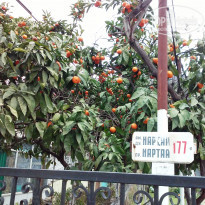 фото из отзыва ID 1469424