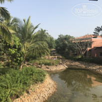 фото из отзыва ID 1469437