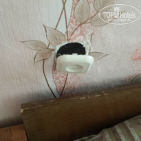 фото из отзыва ID 1469445