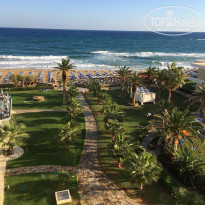 фото из отзыва ID 1469518