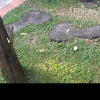 фото из отзыва ID 1469638