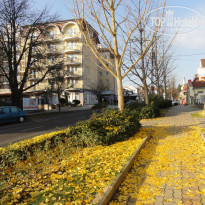 фото из отзыва ID 1469697