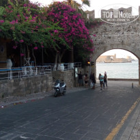 фото из отзыва ID 1469700